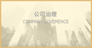 中國中免年報(bào)
